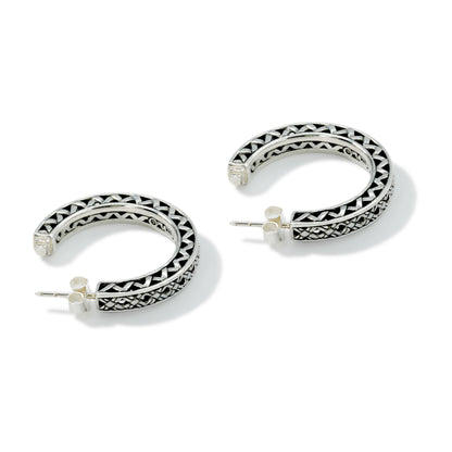 EARRING HOOP BRIDGE